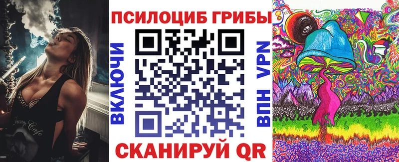 Купить  Тбилисская  Псилоцибиновые грибы Psilocybe 